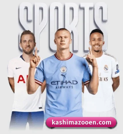 开云app网站的方向